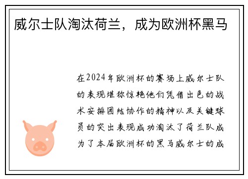 威尔士队淘汰荷兰，成为欧洲杯黑马