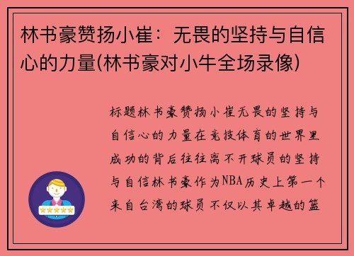 林书豪赞扬小崔：无畏的坚持与自信心的力量(林书豪对小牛全场录像)