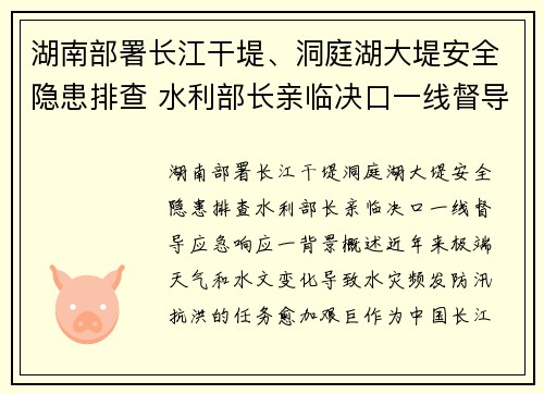 湖南部署长江干堤、洞庭湖大堤安全隐患排查 水利部长亲临决口一线督导应急响应